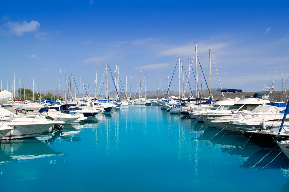 5 Marina Management Tips to Improve Your Bottom Line