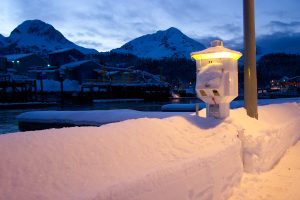 Choosing quality power pedestals for the best results | dock boxes unlimited inc Choosing Quality Power Pedestals for the Best Results