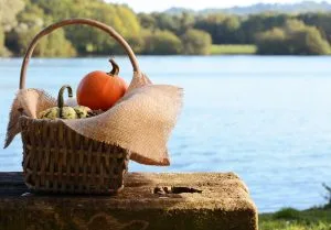 Giving Thanks for a Great Year Dock Boxes Unlimited