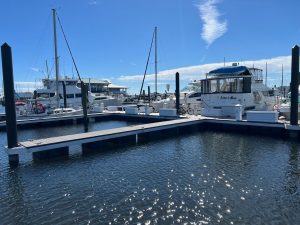 Dock Construction Materials for Harsh Marine Environments